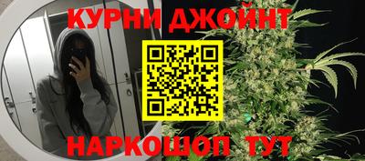 apvp Гатчина