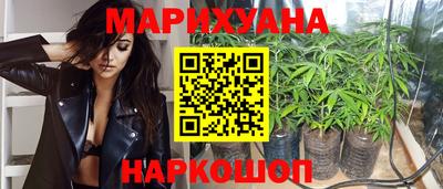 apvp Гатчина