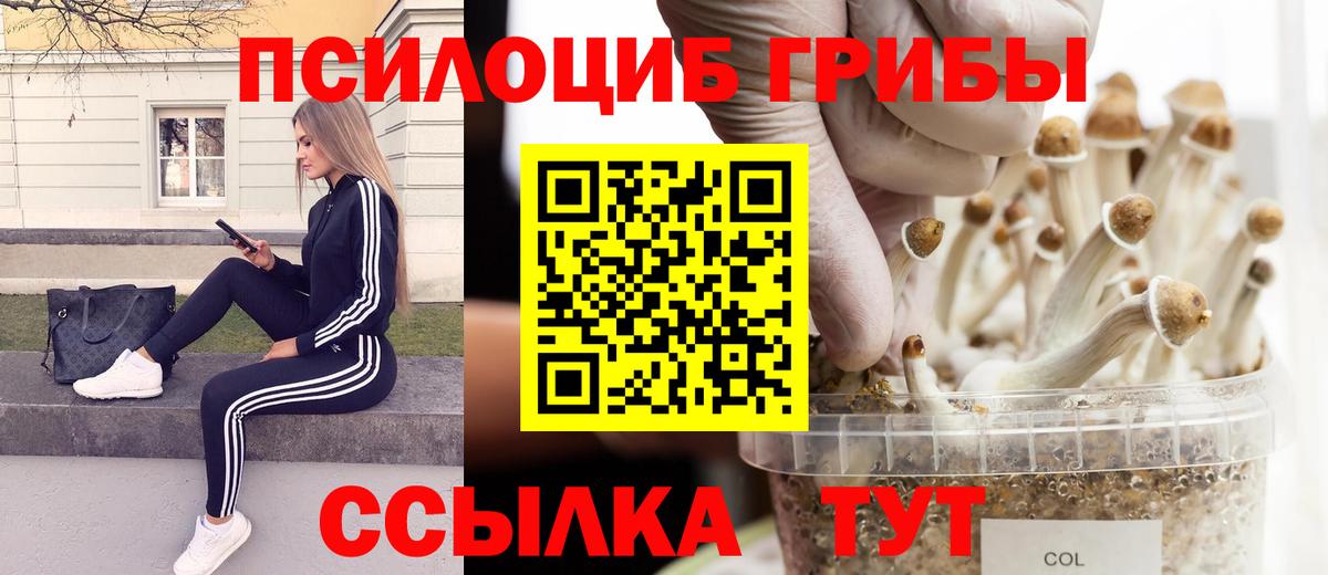 Нефтеюганск  Псилоцибиновые грибы ЛСД  Вход с VPN 